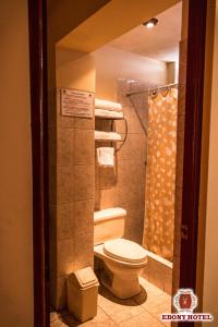 瓦拉斯艾博尼酒店的一间带卫生间和淋浴的浴室