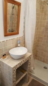 阿罗芒什莱班Maisoun Pequeux的浴室配有白色水槽和淋浴。