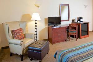 麦金利公园格兰德迪纳利小屋酒店的酒店客房配有椅子、书桌和电视