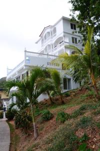 塔沃加Taboga Palace SPA Hotel的相册照片