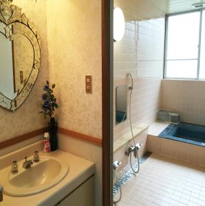 南鱼沼市米斯特拉尔宾馆的一间带水槽和淋浴的浴室