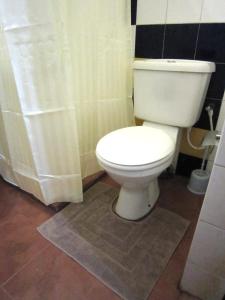 康提伯特利小憩民宿的一间带卫生间和淋浴帘的浴室