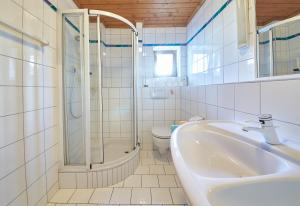 萨尔巴赫Holiday Lodge Felix的带淋浴、盥洗盆和卫生间的浴室