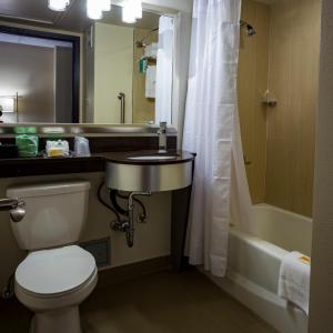 休斯顿休斯顿市中心假日酒店的浴室配有卫生间、盥洗盆和浴缸。
