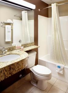 TriadelphiaMicrotel Inn & Suites by Wyndham Wheeling at The Highlands的浴室配有卫生间、盥洗盆和浴缸。