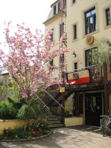 德累斯顿路易斯20号酒店的一座建筑物前有粉红色花的树