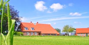 HollenbekHof Viehbrook的绿色田野上一座带橙色屋顶的房子