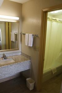 卡尔斯巴德西部大酒店及套房的一间带水槽、镜子和淋浴的浴室