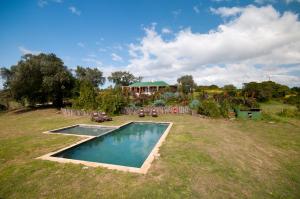 BuyskloofLeeuwenbosch Shearers Lodge - Amakhala Game Reserve的一个带游泳池和房子的后院