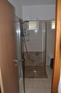 尼夫佐哈死海纳迪亚霍斯汀山林小屋的浴室里设有玻璃门淋浴