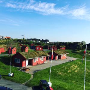 海宁格松哈拉尔德肖根露营地的一群有草屋顶的红色房子