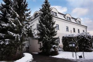 日利纳奈卡斯日利纳别墅酒店的一座白色的大建筑,有树在雪中