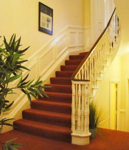 都柏林墨翰普顿联排别墅酒店的楼梯间,楼内有螺旋楼梯