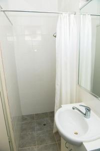 汉密尔顿班蒂阔特哈密顿汽车旅馆的一间带水槽和淋浴的浴室