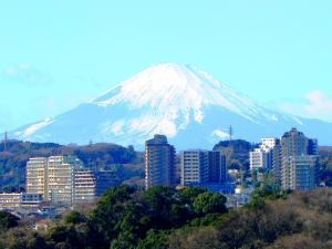 横滨横滨化工技术大厦酒店的城市前的雪覆盖的山