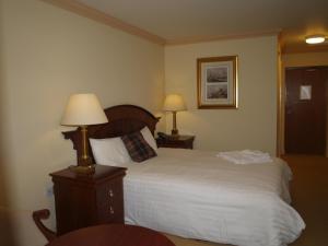 Great Cressingham奥尔德风车酒店的一间卧室配有一张床、两盏灯和一张桌子。