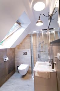 克拉科夫Pensjonat Pola的浴室配有卫生间、淋浴和盥洗盆。
