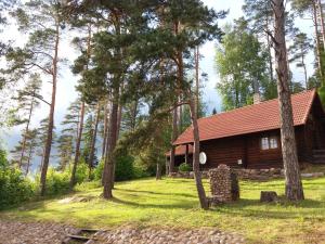 AinjaKäbi Holiday Homes的森林中间的小木屋