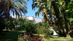 蒙德罗B & B Villa Flora的一座花园,在一座建筑前种有棕榈树和鲜花