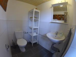 Ganterschwil霍夫吉纽思住宿加早餐旅馆的一间带卫生间和水槽的浴室