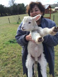 比亚里卡Rancho Saeta的把小羊放在田里的女人