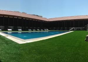 瓦迪穆萨七梦酒店的一座带绿草的游泳池,位于大楼旁
