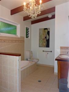 库兰达库兰达恩戈罗恩戈罗山林小屋的带浴缸、卫生间和吊灯的浴室。