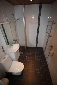 罗瓦涅米科斯基阿肯努斯公寓的带淋浴、卫生间和盥洗盆的浴室