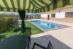 普里埃格·德·科尔多巴Casona del Olivar的一个带椅子的庭院和一个带遮阳伞的游泳池