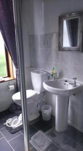 Slamannan避风港度假屋的一间带卫生间和水槽的浴室