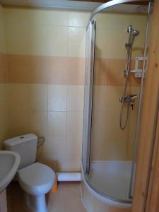 耶莱尼亚古拉-雅戈尼昂库夫U Górali的带淋浴、卫生间和盥洗盆的浴室