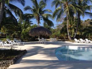 圣安德烈斯Sitio exclusivo y tranquilo的一个带游泳池、椅子和棕榈树的度假村