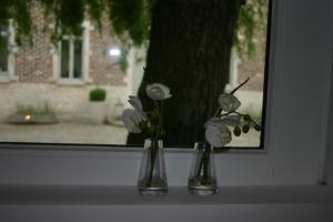 Linter佩勒多度假屋的两瓶花坐在窗台上,里面花