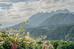 恩斯塔尔豪斯Cafe Pension Kitzer的享有山谷的背景山景。