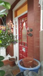伦敦爱德华花园公寓的外边有盆栽植物的房子的红色门
