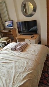 伦敦爱德华花园公寓的一间卧室配有一张带电视和书桌的床。