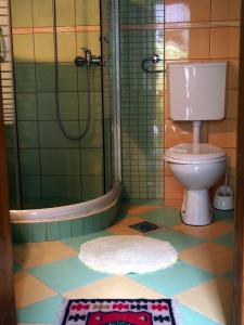 尼什埃特诺康纳克塔萨那旅馆的一间带卫生间和淋浴的浴室以及地毯。