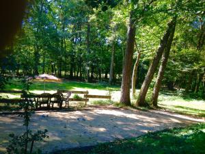BréchaumontChalet Clarimaud的树木繁茂的公园里的野餐桌椅