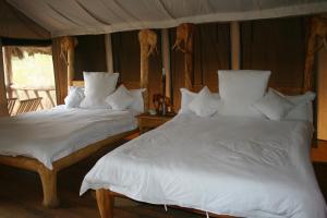Kwa KuchiniaRoika Tarangire Tented Lodge的相册照片