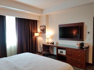 莱昂马约尔广场假日酒店&度假村的酒店客房配有一张床和一张书桌及一台电视