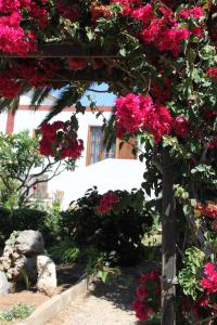 格拉纳迪利亚德亚沃纳安东皮什卡萨田园酒店的花园里种满粉红色花的凉亭
