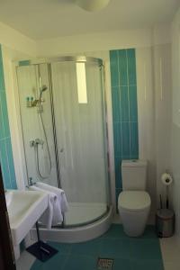 LimanuLifeHarbour Limanu的带淋浴、卫生间和盥洗盆的浴室