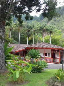 萨兰托Hostal Rio Arabia - Valle De Cocora HOTEL的一座棕榈树下的红白色房子