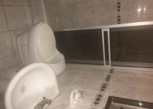 皮斯科Hostal El Candelabro的浴室配有白色卫生间和盥洗盆。