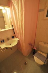 奥林匹亚伊利斯酒店的浴室设有卫生间水槽和淋浴帘