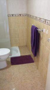 英格兰海滩Tropical Canary Home - Playa Del Ingels的浴室设有卫生间和带紫色毛巾的淋浴。
