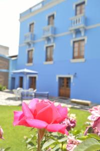 阿雷基帕梅塞德斯旅馆的蓝色建筑前的粉红色玫瑰