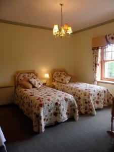 布罗姆亚德Littlebridge House的一间卧室配有两张床和吊灯。
