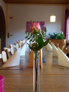 克罗伊茨塔尔Landgasthof & Hotel "Merje"的一张花瓶,上面有玫瑰,坐在桌子上