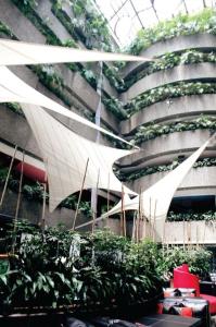 墨西哥城Hotel Real del Sur的一座植物在建筑的一侧